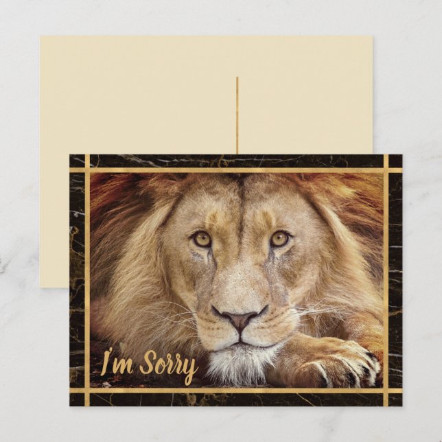 Carte Postale Je suis Désolé Photo Lion (Devant / Derrière)