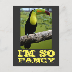 CARTE POSTALE JE SUIS TELLEMENT FANCY TOUCAN POSTCARDS