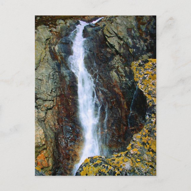 CARTE POSTALE JE SUIS TROP SEUL DANS LE MONDE (Devant)