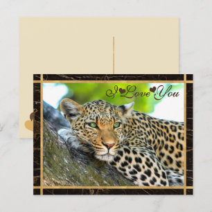 Carte Postale Je t'aime Leopard Photo