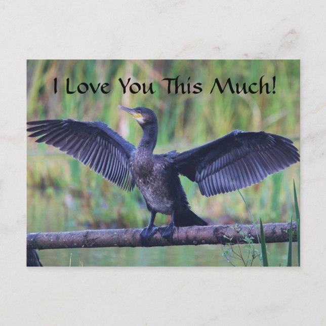 Carte Postale Je T'Aime Tant - Cormorant (Devant)
