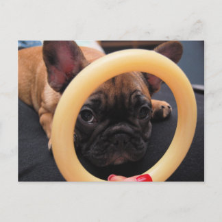 Carte postale "Je te vois"