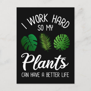 Carte Postale Je Travaille Dur Pour Que Mes Plantes Aient Une Me