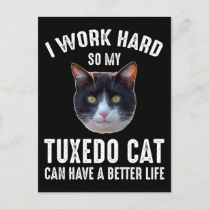 Carte Postale Je Travaille dur Pour Que Mon Chat Tuxedo Puisse M