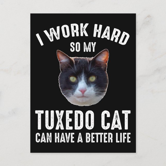 Carte Postale Je Travaille dur Pour Que Mon Chat Tuxedo Puisse M (Devant)