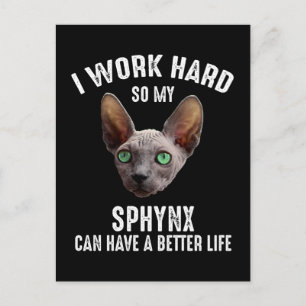 Carte Postale Je Travaille Dur Pour Que Mon Sphynx Puisse Avoir 