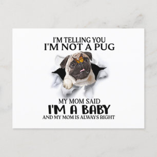 Carte Postale Je vous dis que je ne suis pas un pug, je suis un
