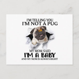 Carte Postale Je vous dis que je ne suis pas un pug, je suis un