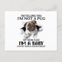 Je Vous Dis Que Je Ne Suis Pas Un Pug Je Suis Un A