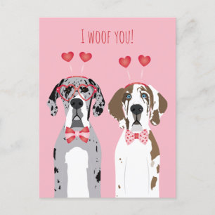 Carte Postale Je Vous Malheur Les Grands Chiens Danois Rouge Ros