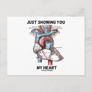 Carte Postale Je Vous Montre Mon Coeur (Coeur Anatomique)
