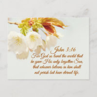 Jean 3:16 Dieu a tant aimé le monde, Écriture