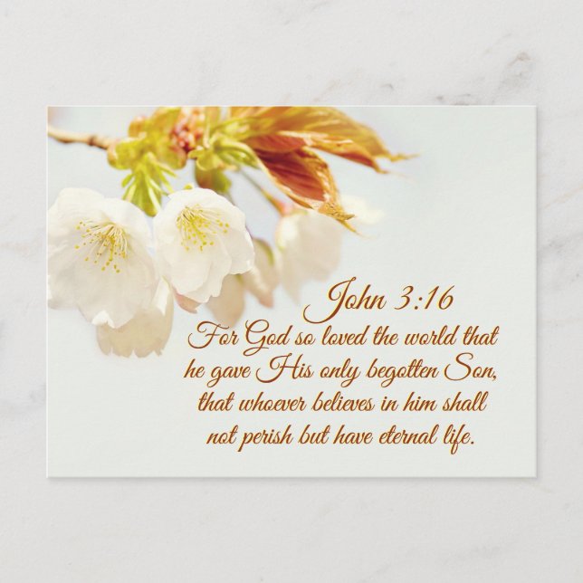 Carte Postale Jean 3:16 Dieu a tant aimé le monde, Écriture (Devant)