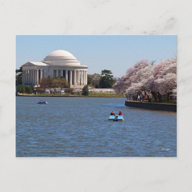 Carte Postale Jefferson Memorial Washington DC (Devant)
