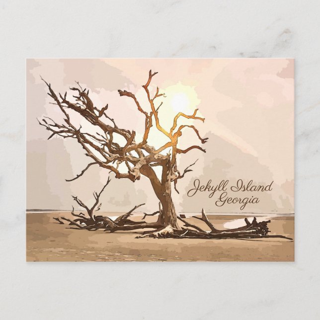 Carte postale Jekyll Island Georgia (Devant)