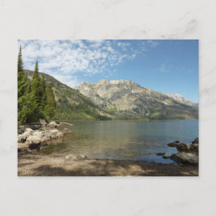 Carte Postale Jenny Lake au Grand Teton National Park