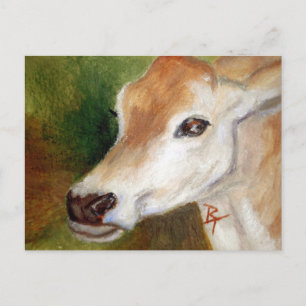 Carte Postale Jersey Cow
