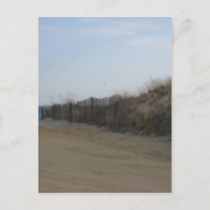 Carte Postale Jersey Shore * Plage adoucie