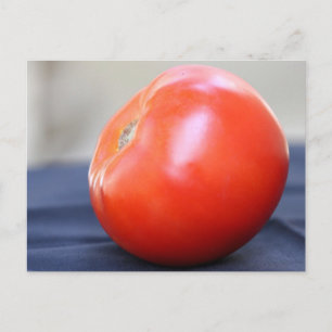 Carte Postale Jersey Tomate 1