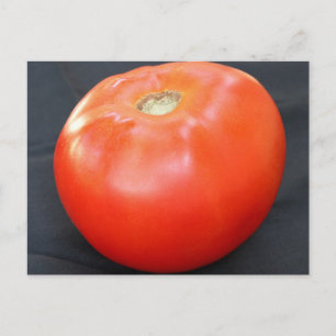 Carte Postale Jersey Tomate 4