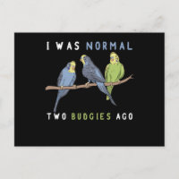 J'Étais Normal Il Y A Deux Épouses, Budgie Bird