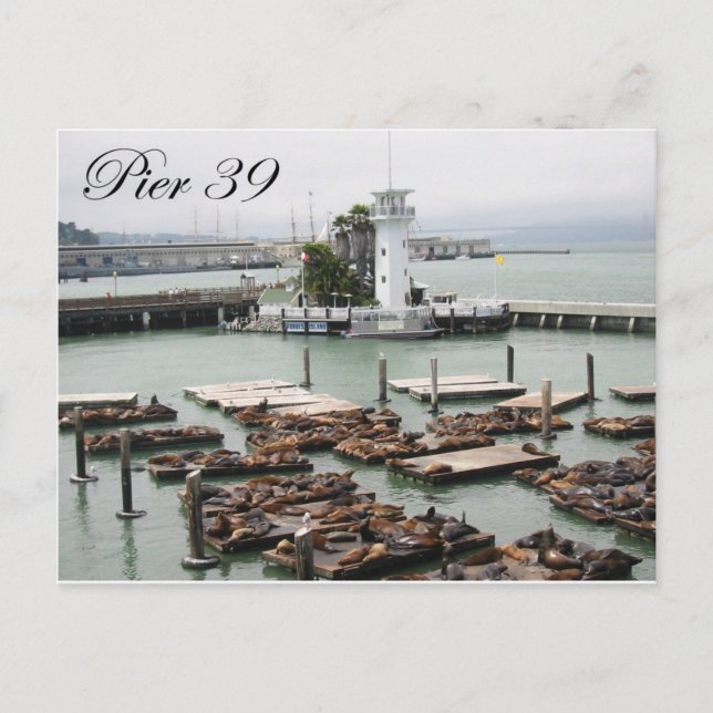 Carte Postale Jetée 39 (Devant)