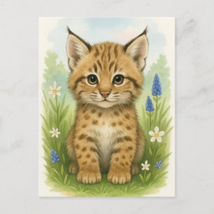 Carte Postale Jeune Bobcat Kitten Chat Bébé Animaux sauvages Car
