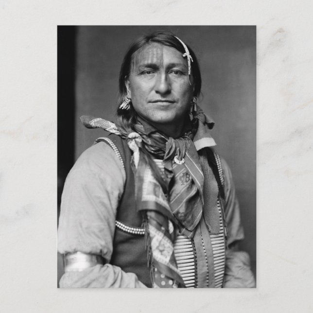 Carte Postale Joe Black Fox, 1900 (Devant)