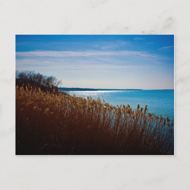 Carte postale Joe Pool Lake (Devant)