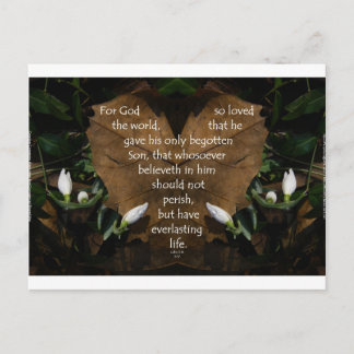 Carte Postale john 3:16 le roi james sur heart leaf