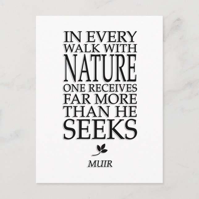 Carte Postale John Muir (Devant)
