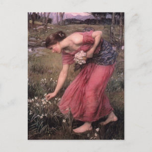 Carte Postale John William Waterhouse - Narcissus