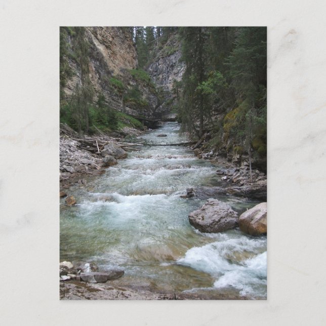 Carte Postale Johnston Canyon Step Falls (Devant)