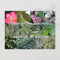 joie texte fleur feuille vert jardin printemps