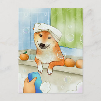 Carte Postale Joli animal de compagnie Shiba Inu chien Baignade 
