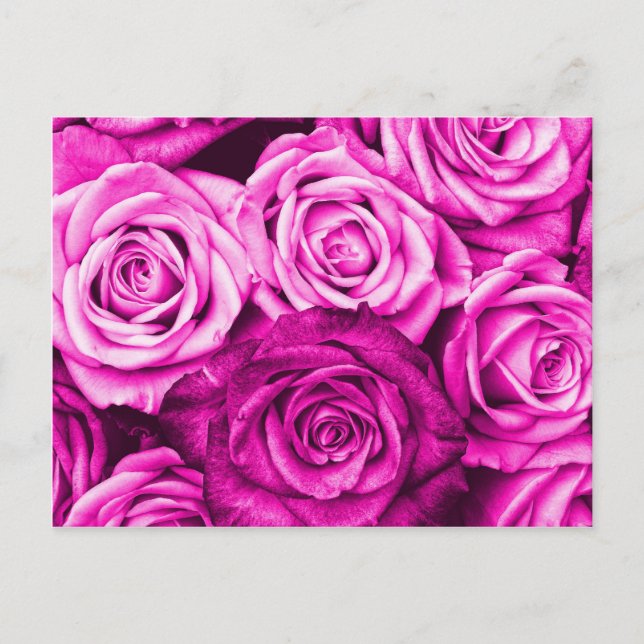 Carte Postale Joli Bouquet de fleurs de roses rose Magenta (Devant)