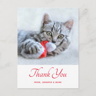Carte Postale Joli Chat Qui Mord le Chapeau Rouge de Père Noël X