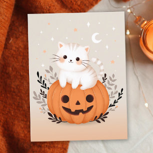 Carte Postale Joli Chaton Assis Sur Une Citrouille Halloween Mod