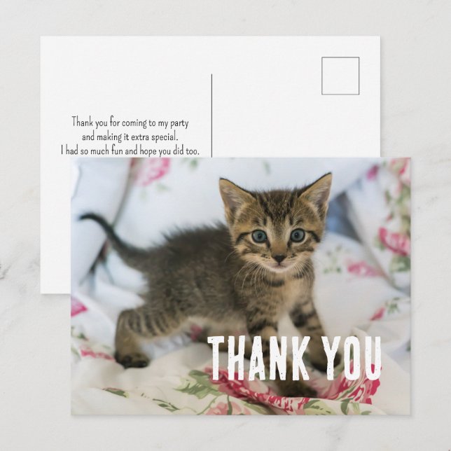 Carte Postale Joli chaton tabby surpris Merci (Devant / Derrière)