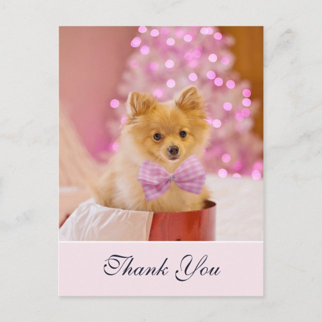 Carte Postale Joli chien de Noël avec Merci photo en cou rose (Devant)