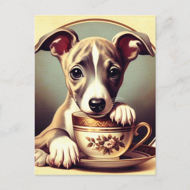 Carte Postale Joli chiot Whippet (Devant)