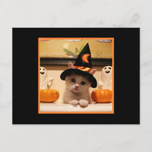 Carte Postale Joli Halloween Kitty Et Casquette De Sorcière