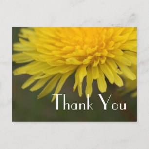 Carte Postale Joli jaune fleur sauvage dandelion merci