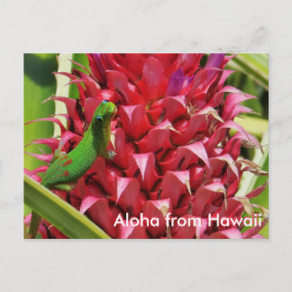 Carte Postale Joli jour de poussière d'or gecko ananas rose Hawa