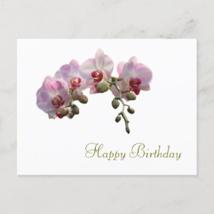 Carte Postale joli orchidée rose fleurs heureux anniversaire