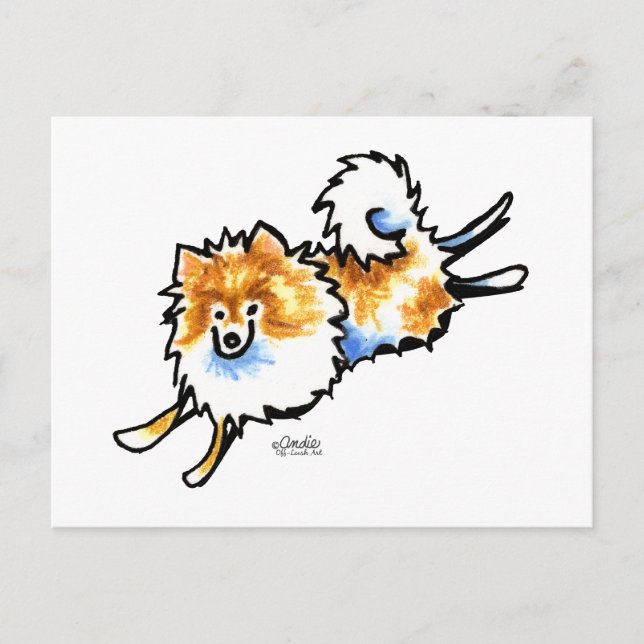 Carte Postale Joli Pomeranian Orange Blanc (Devant)