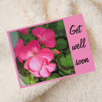 Joli rose Geranium Photo Obtenir Bien Bientôt Cart