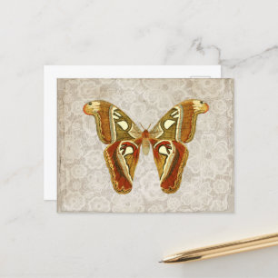 Carte Postale Joli Vintage Moth Botanical
