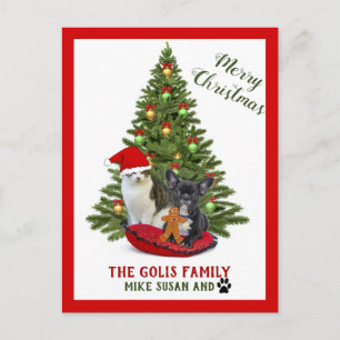 Carte Postale Jolie famille animaux chien chat Joyeux Noël