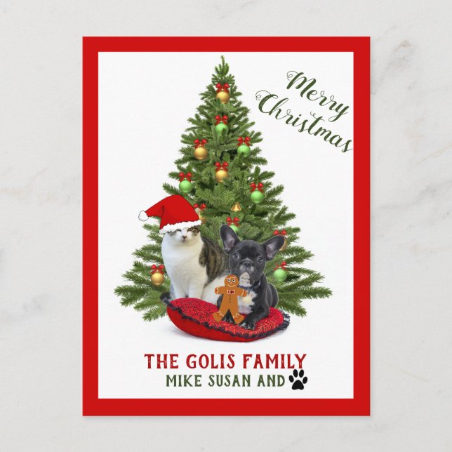 Carte Postale Jolie famille animaux chien chat Joyeux Noël (Devant)
